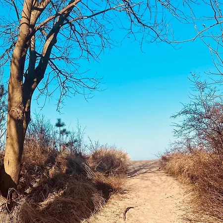 Duenenblick 3 * Ückeritz